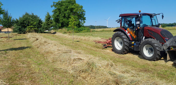 Landschaftspflege - Ausgleichsflächenpflege